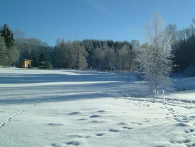 Winterlandschaft beim Ferienhof